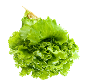 Salad PNG Transparent Image PNG icons