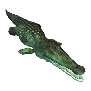 Saltwater Crocodile PNG Image PNG Clip art