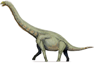 Sauropod PNG Free Download PNG Clip art