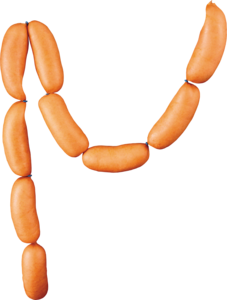 Sausage PNG Clip art