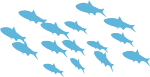School of Fish PNG HD PNG Clip art