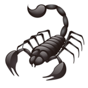 Scorpion PNG Photos PNG Clip art