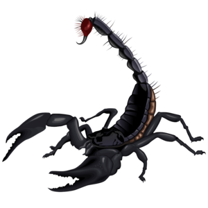 Scorpion PNG Transparent PNG Clip art