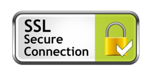 Secure HTTPS PNG Free Download PNG Clip art