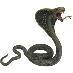 Snake PNG Image PNG Clip art