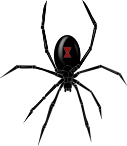 Spider PNG File PNG Clip art