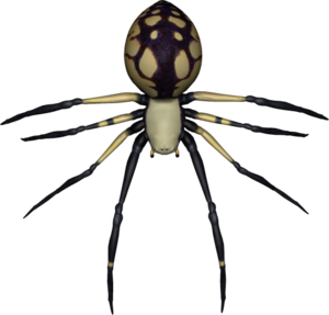 Spider PNG Transparent Image PNG Clip art