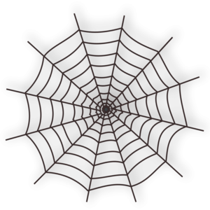 Spider Web PNG Clip art