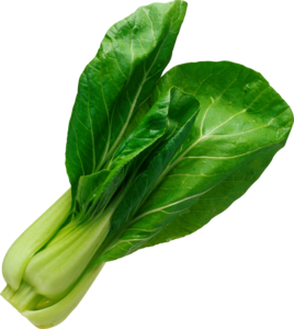 Spinach PNG Pic Clip art