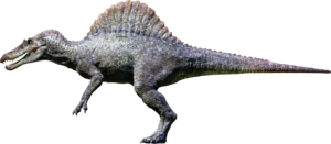 Spinosaurus PNG Free Download PNG Clip art