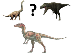 Theropod PNG File PNG images