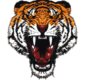 Tiger Tattoos PNG Pic Clip art