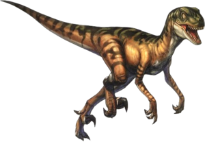 Velociraptor PNG Pic PNG Clip art