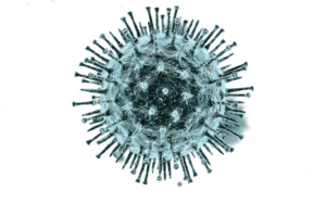 Virus PNG Photo PNG Clip art