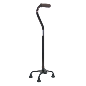 Walking Stick PNG Picture PNG Clip art
