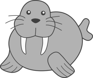 Walrus PNG Image PNG images