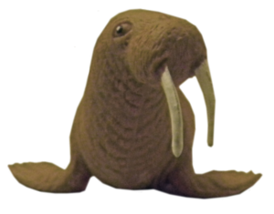 Walrus PNG Transparent Clip art