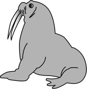 Walrus Transparent Background PNG Clip art