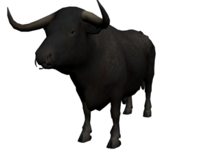 Water Buffalo Background PNG PNG Clip art