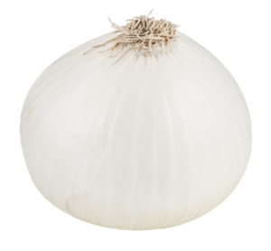 White Onion PNG File PNG Clip art