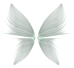 Wings Transparent Background PNG Clip art