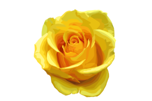 Yellow Rose PNG Transparent Image PNG Clip art