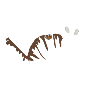 Brown Cat icon png