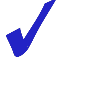 Check - Darker Blue icon png