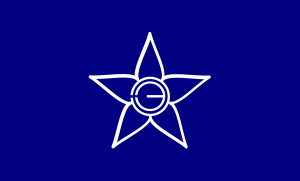 Blue Flag icon png