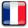 France Button icon png