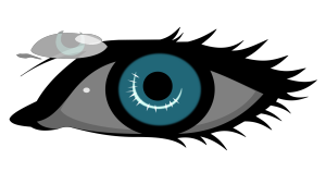 Eye icon png