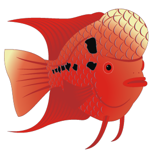 Red Fish PNG, SVG Clip art for Web - Download Clip Art, PNG Icon Arts