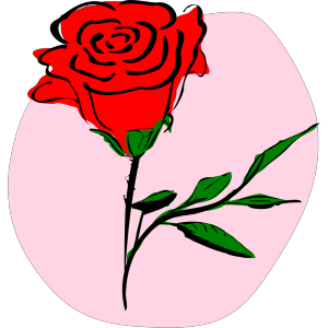 Colored Rose Drawing icon png
