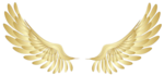 Angel Halo Wings PNG File icon png
