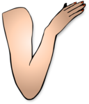 Arm PNG Image icon png
