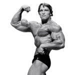 Arnold Schwarzenegger PNG File icon png