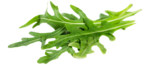 Arugula PNG Clipart icon png
