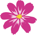Aster PNG HD icon png