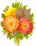 Aster PNG Transparent Image icon png