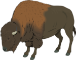 Bison PNG Transparent Image icon png