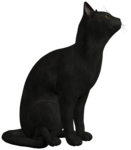 Black Cat PNG Photo icon png