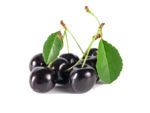 Black Cherry PNG Image icon png