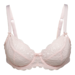 Bra PNG Background Image icon png