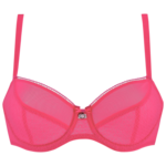 Bra PNG Picture icon png