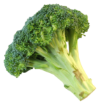 Broccoli PNG Background icon png