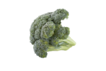 Broccoli PNG File Download Free icon png