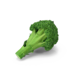 Broccoli PNG Transparent Image icon png