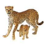 Cheetah PNG Free Download icon png