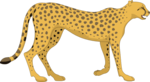 Cheetah PNG Photos icon png