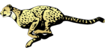 Cheetah Transparent PNG icon png